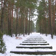 Treblinka 1942 1943 Calman Levy